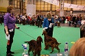 Crufts2011 462